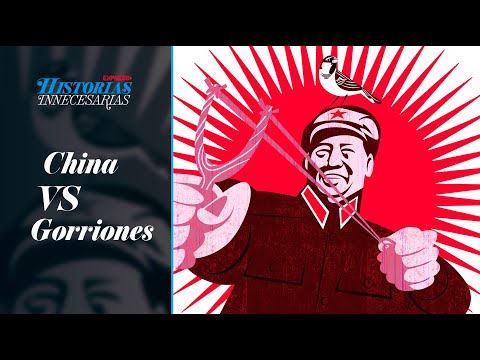 El FATAL resultado de declararle la GUERRA a los GORRIONES