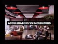 Startup 101 accelerators vs incubators whats the difference