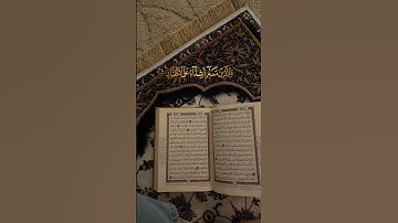#القرآن_الكريم #quran 🤍💮 #رعد_الكردي #سورة_الفتح #راحة_نفسية #حالات_واتس