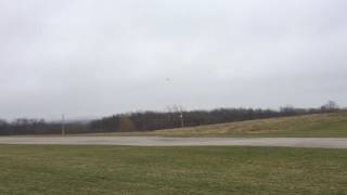 Brian - Boomer Wren SuperSport