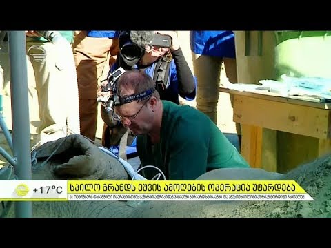 სპილო გრანდს ეშვის ამოღების ოპერაცია უტარდება