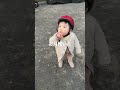 お月様🌙をみて「お月様ここー!」という2歳児#shorts