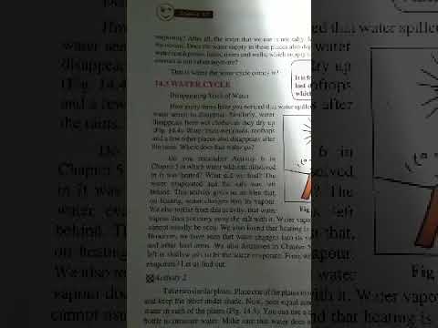 Water cycle - YouTube