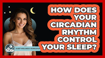 How Does Your Circadian Rhythm Control Your Sleep? - Sleep Wellness Workshop
