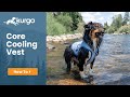 Kurgo Core Cooling Vest | Help your dog stay cool