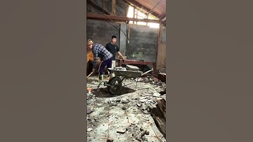 Đây Là Công Việc Của Em Hàng Ngày ạ Mọi người Thấy Quý Em thì Cho em xin 1 like #xuhuongyoutubeVN