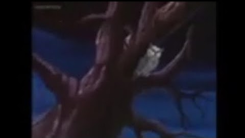 Bureau of Alien Detectors: Twinkle, Twinkle (Part 1)