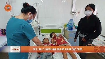 ĐẮK LẮK: 5 NGƯỜI NGỘ ĐỘC DO ĂN CÀ ĐỘC DƯỢC  | VTV5