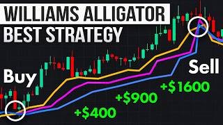 Williams Alligator Trading Strategy – A Smarter Way to Trade Trends Net Worth