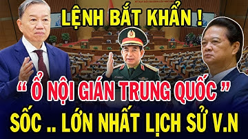 Tin tức 24h mới nhất ngày 27/11/2025✈Tin Nóng Chính Trị Việt Nam và Thế Giới✈#THỜISỰ24HHD