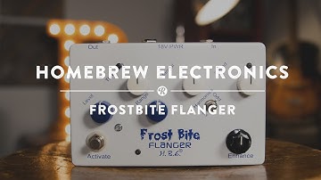 HomeBrew Electronics Frostbite Flanger | Reverb Demo Video