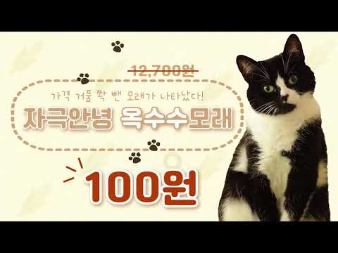 습작릴_e두번째/모션그래픽