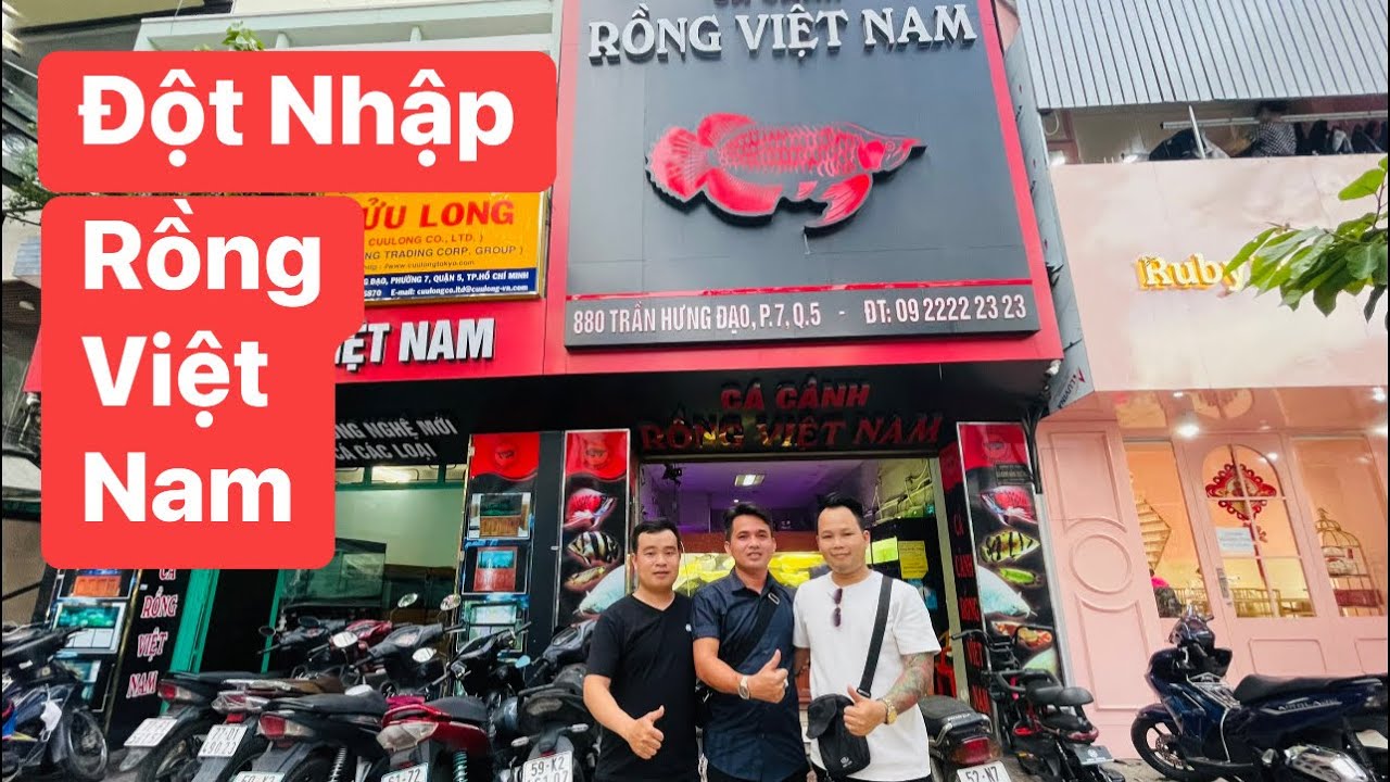 Đột Nhập : Cá Cảnh Rồng Việt Nam | Gặp Gỡ | Giao Lưu | Thăm Quan Mê Cung Cá Rồng Giữa Sài Gòn
