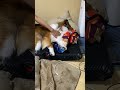 ふかふかベッドにマッサージつき!