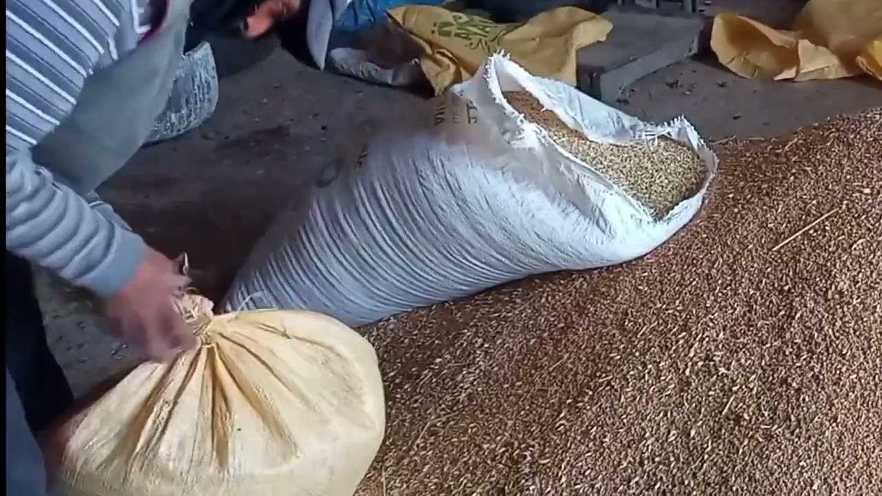 اسهل طريقة لتسمين لحوال ديال العيد بأقل تكلوفةونتيجة مضمونة