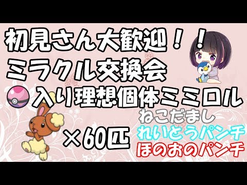 ポケモンusum ミラクル交換会 ドリームボール入り理想個体ミミロル100匹流します ウルトラサンムーン Youtube