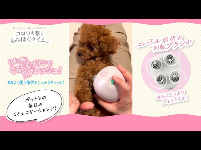 おうちサロン ペット用オートツイストブラシ - YouTube