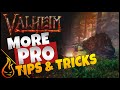 Valheim Helpful Tips And Tricks