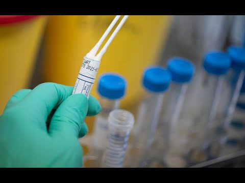 ბათუმის ინფექციურ საავადმყოფოში 5 პირის პასუხი დღეს გახდება ცნობილი