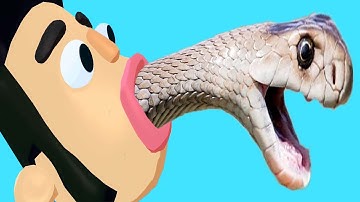 Colorful Snake - Gameplay Walkthrough - All Levels (IOS, Android)