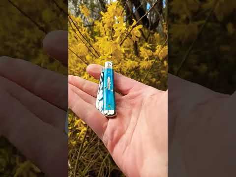 Spring Pocket Knife