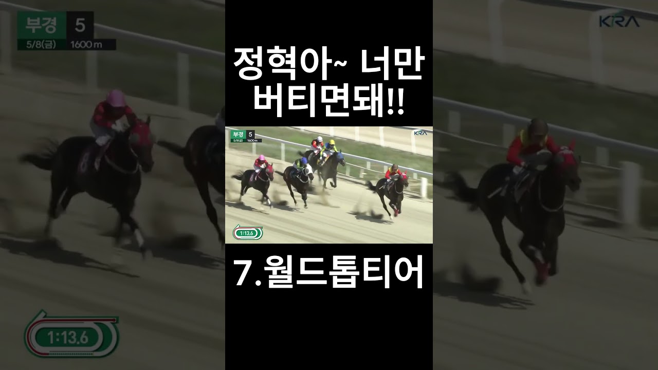 정혁아 너만 버티면돼~  #경마  #경마예상  #경마방송  #경마예상방송  #서울경마  #금요경마  #토요경마  #일요경마 #경마장