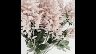 Blank Space J.Fla (Cover)