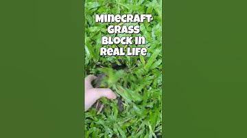 Minecraft Grass Block in Real Life