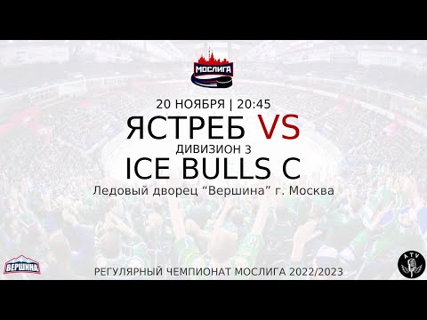 ХК ЯСТРЕБ - ХК ICE BULLS C 20.11.2022 РЕГУЛЯРНЫЙ ЧЕМПИОНАТ 2022/2023 МОСЛИГА