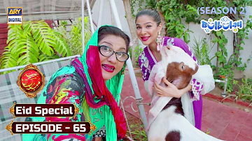 Bulbulay Season 2 Episode 65 - ARY Digital Drama