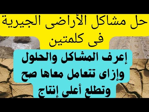 فيديو: 