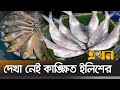 ভরা মৌসুমের দেখা নেই কাঙ্ক্ষিত ইলিশের | Patuakhali News | Fish | Ekhon TV
