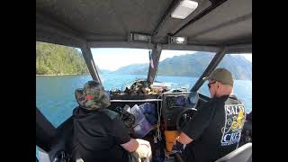 Doubtful Sound Fiordland New zealand Southern Bluefin tuna,Crayfish for days Epic Adventure!!!!