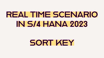 SORT KEY CONFIGURATION # T-CODE OB16