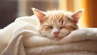 EXTREMELY Soothing Cat Therapy Music  Relax Your Cat! Cat Music