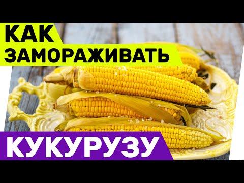 Как замораживать кукурузу на зиму
