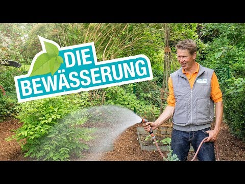 die-bewässerung:-tipps-und-tricks-für-den-eigenen-garten
