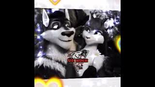 uz wolk/bo‘rilar qonuni/21/50ta obunachi bo‘ldik endi videolar sifatliroq bo‘ladi😎