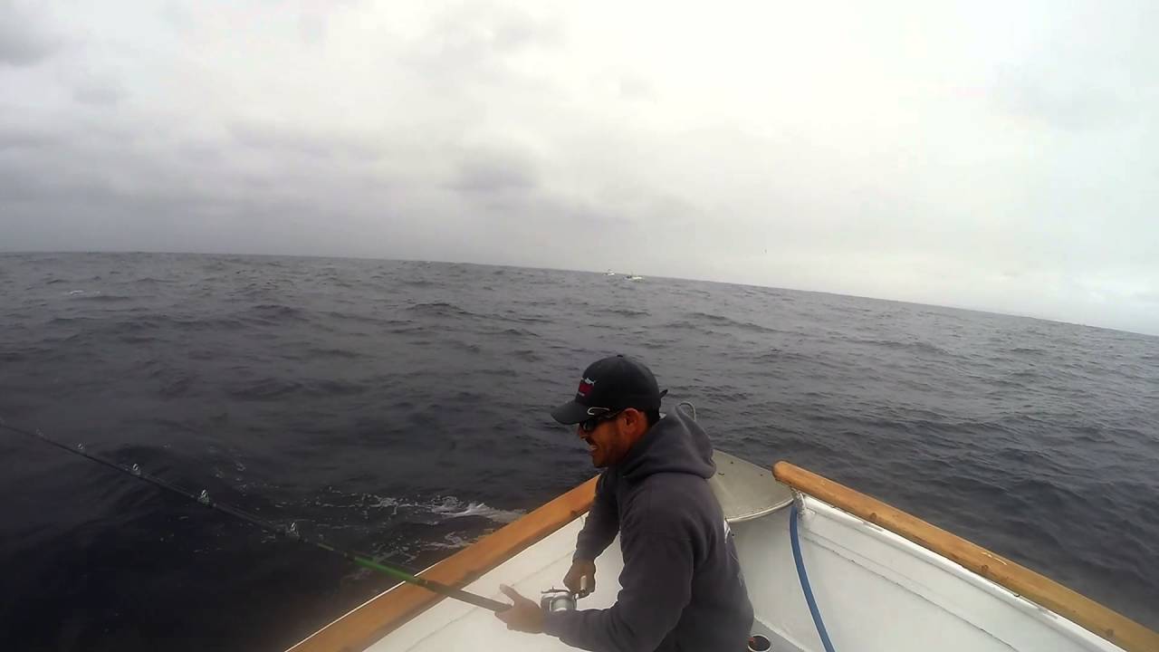 Surface Iron Fishing Yellowtail on the Point Loma