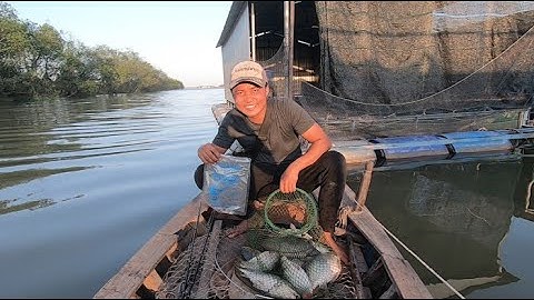 CÂU TRÚNG Ổ CÁ CHÉP SÔNG | Huỳnh Khoa Fishing