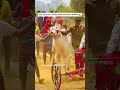 sultan 2111