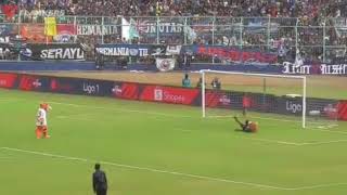 Story wa 30 detik akrabnya singa dan macan