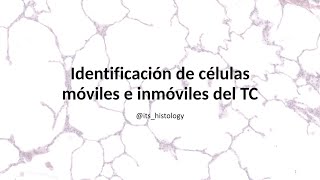 Identificación de Células móviles e inmóviles del Tejido conjuntivo