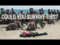 Special Operators: Navy SEALs, United States.