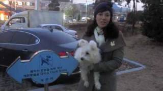 Esl Teachers In Korea Say Part 2