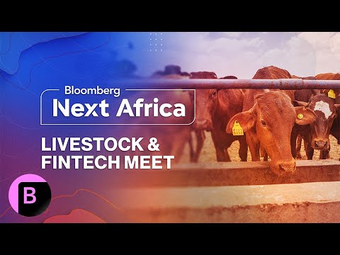 African Startups to Watch: How a Real-Time Livestock Trading Platform Works