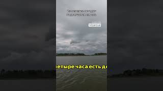 Прогноз погоды: гроза через 15 минут! ☔️