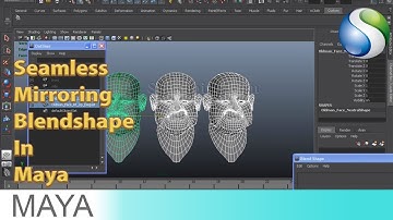 Seamless Mirroring Blendshape In Autodesk Maya
