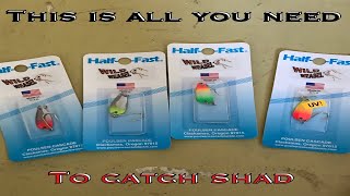 Tips and turorial for catching shad