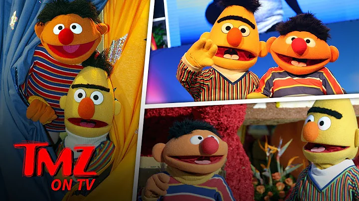 Bert and Ernie Are Finally Out? | TMZ TV